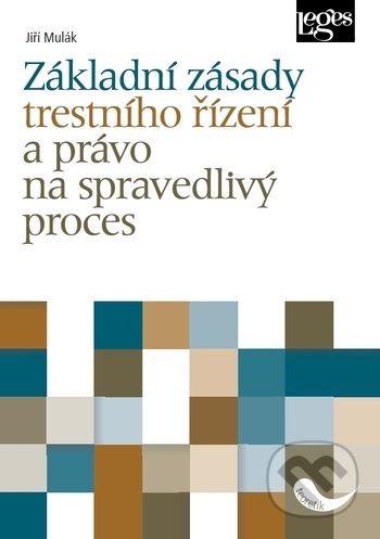 Základní zásady trestního řízení a právo na spravedlivý proces - kniha z kategorie Trestní právo