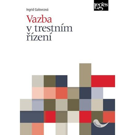 Vazba v trestním řízení