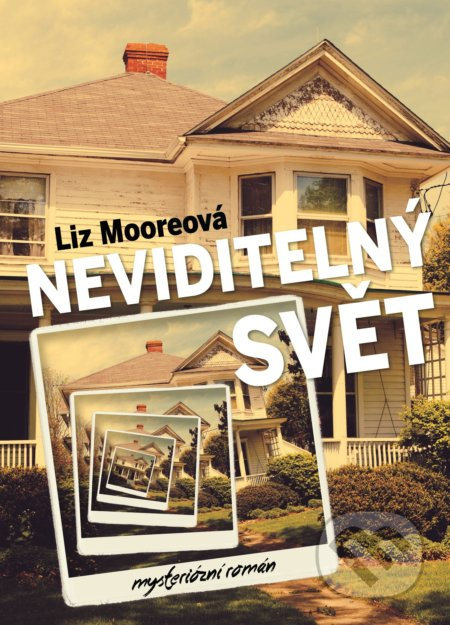 Neviditelný svět - Liz Moore - kniha z kategorie Thrillery