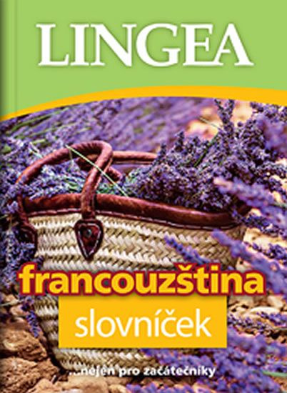 Francouzština - slovníček - kolektiv autorů