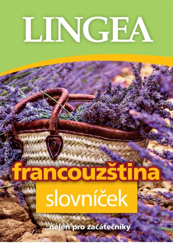 Francouzština - slovníček - kolektiv autorů