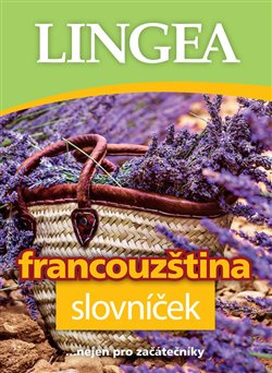 Francouzština - slovníček - kolektiv autorů