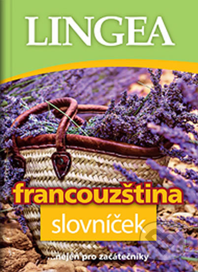 Francouzština - slovníček - kolektiv autorů