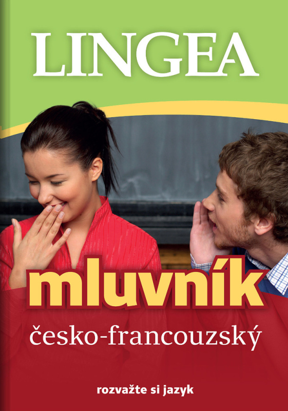 Česko-francouzský mluvník - kol.