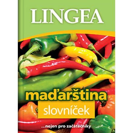Maďarština slovníček - kol.