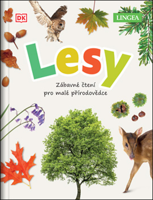 Lesy - Zábavné čtení pro malé přírodovědce - Jamie Ambrose