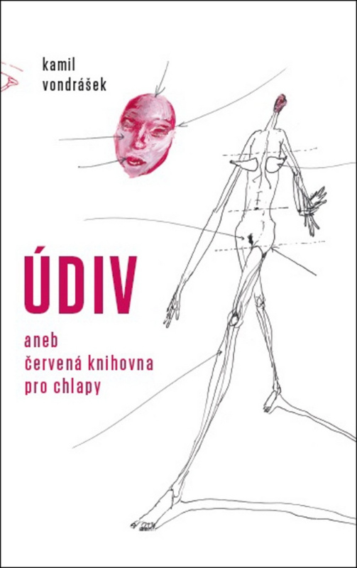 Údiv - Kamil Vondrášek