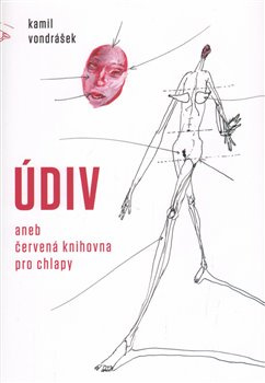 Údiv - Kamil Vondrášek