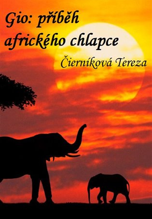 Gio: příběh afrického chlapce - Teraza Čierníková