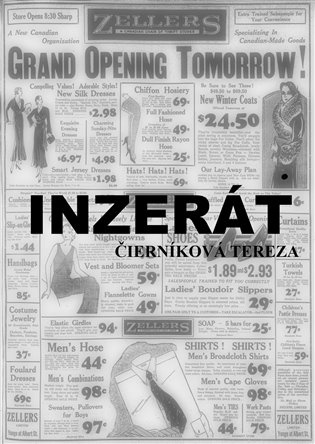 Inzerát - Teraza Čierníková