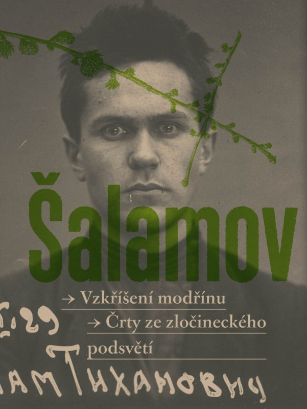 Vzkřííšení modrřínu (Črty ze zločineckého podsvětí) - kniha z kategorie Společenská beletrie