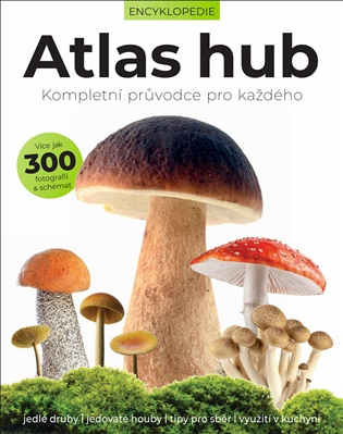 Atlas hub -  Liz O´Keefeová