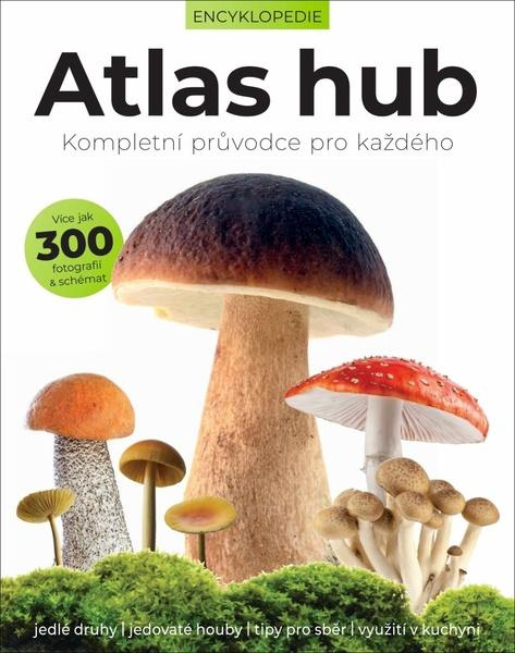 Atlas hub -  Liz O´Keefeová