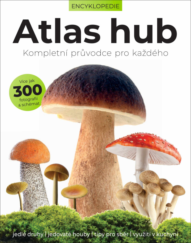 Atlas hub -  Liz O´Keefeová