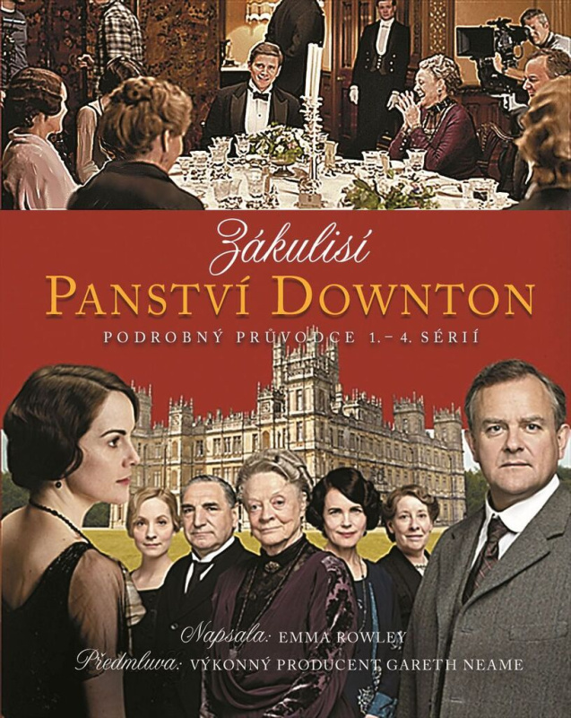 Zákulisí Panství Downton (Podrobný průvodce 1. – 4. sérií) - kniha z kategorie Teorie umění