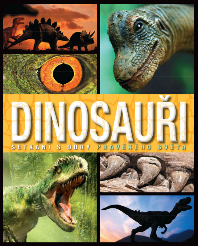 Dinosauři (Setkání s obry pravěkého světa) - kniha z kategorie Pro děti