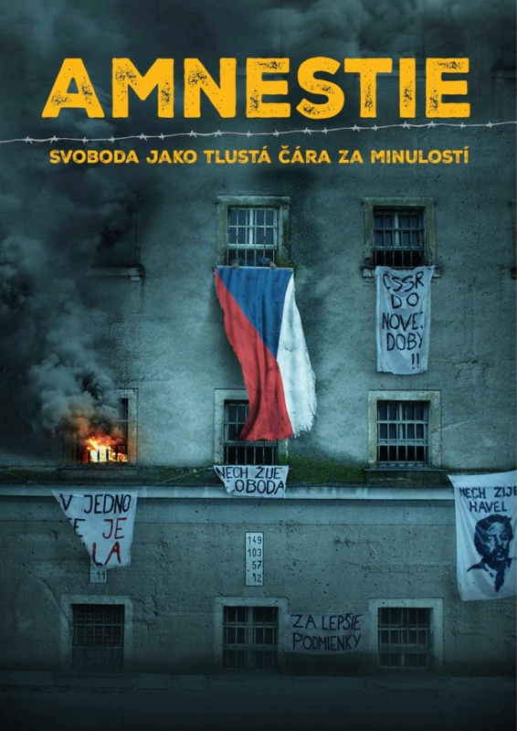 Amnestie (Svoboda jako tlustá čára za minulostí) - kniha z kategorie Komiksy