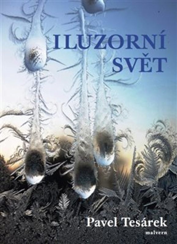 Iluzorní svět - Pavel Tesárek