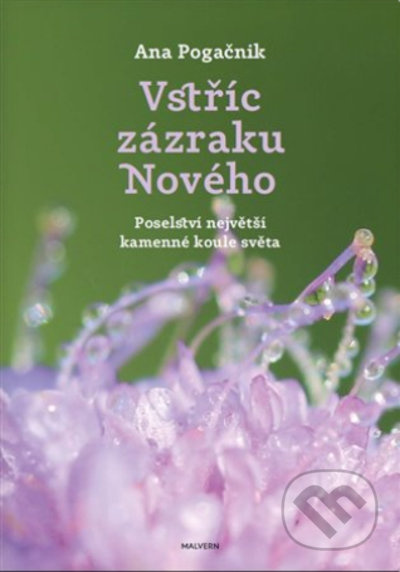 Vstříc zázraku nového - Ana Pogačnik