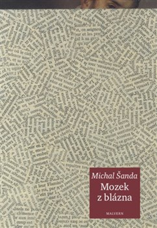 Mozek z blázna - Michal Šanda