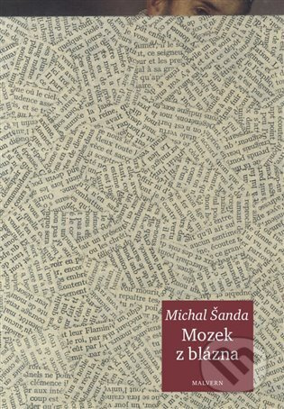 Mozek z blázna - Michal Šanda
