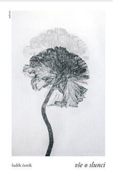 Vše o slunci - Luděk Čertík