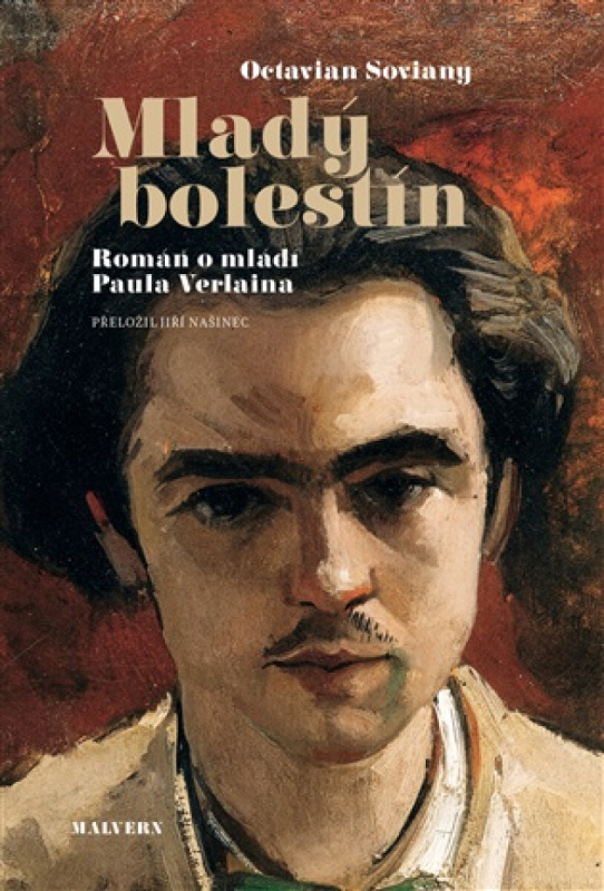 Mladý bolestín - Octavian Soviany