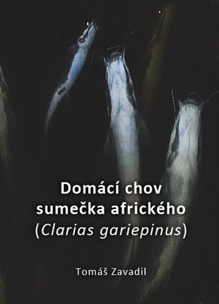 Domácí chov sumečka afrického - Tomáš Zavadil