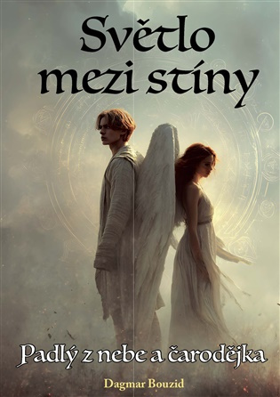 Světlo mezi stíny -  Dagmar Bouzid