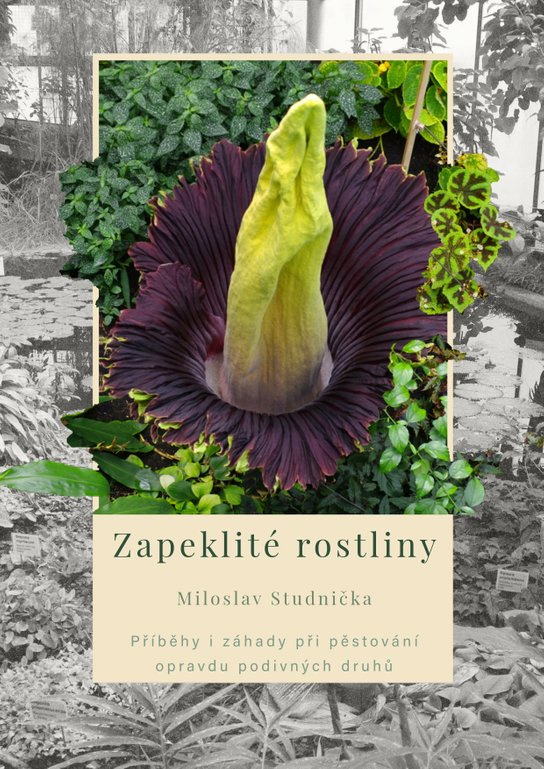 Zapeklité rostliny -  RNDr. Miloslav Studnička CSc.
