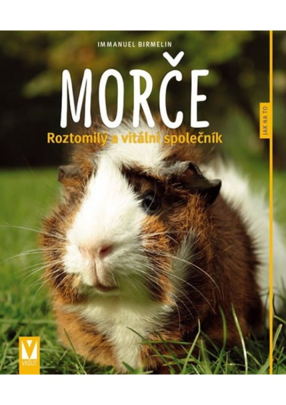 Morče - Roztomilý a vitální společník - Immanuel Birmelin