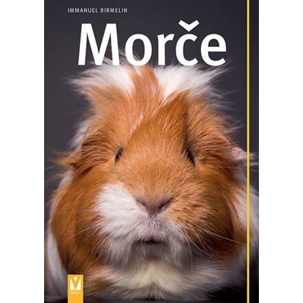 Morče - Immanuel Birmelin