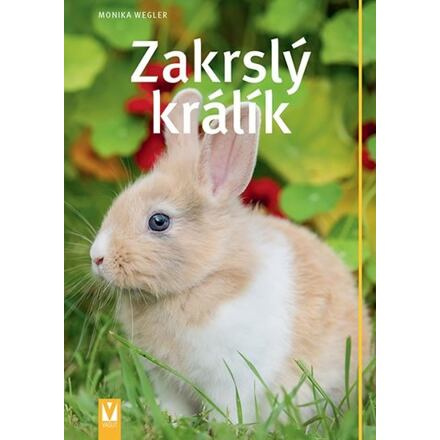 Zakrslý králík Jan Vašut s.r.o.