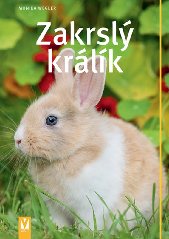 Zakrslý králík Jan Vašut s.r.o.