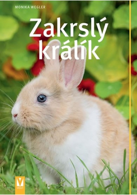 Zakrslý králík Jan Vašut s.r.o.