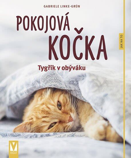 Pokojová kočka - Jak na to