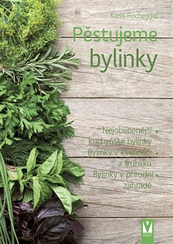 Pěstujeme bylinky - Karin Hochegger