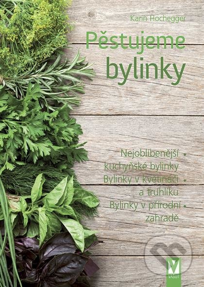 Pěstujeme bylinky - Karin Hochegger