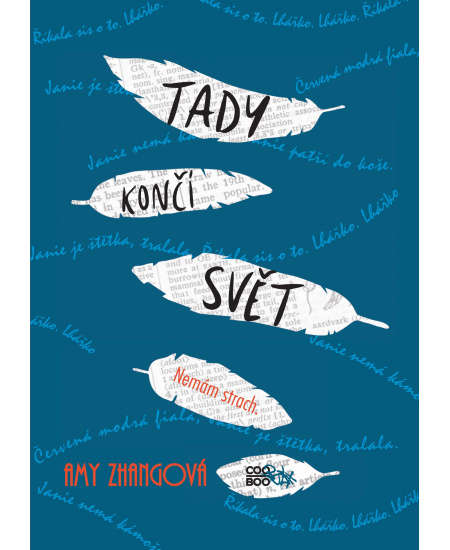 Tady končí svět - Amy Zhangová