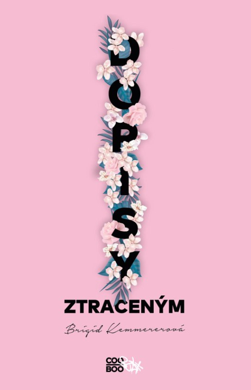 Dopisy ztraceným -  Brigid Kemmerer