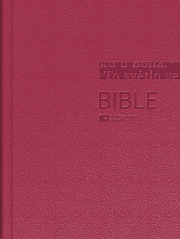 Bible (Český ekumenický překlad s DT)