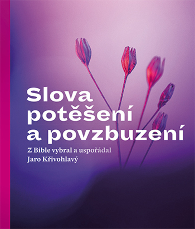 Slova potěšení a povzbuzení - Jaro Křivohlavý - kniha z kategorie Psychologie