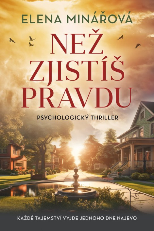 Než zjistíš pravdu -  Elena Minářová
