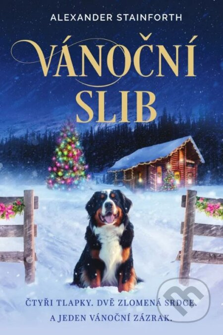 Vánoční slib - Alexander Stainforth