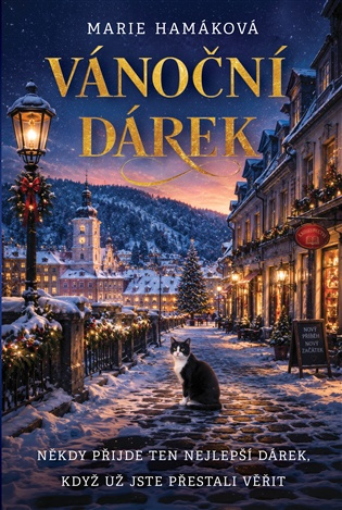 Vánoční dárek