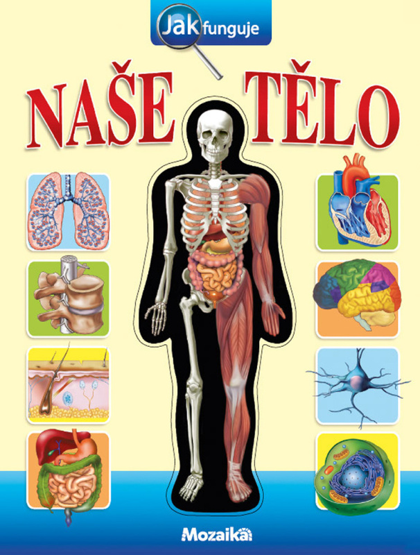 Jak funguje naše tělo? Ing. Stanislav Soják-INFOA