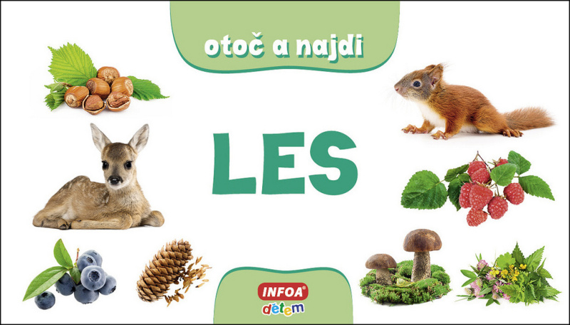 Otoč a najdi - Les