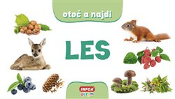 Otoč a najdi - Les