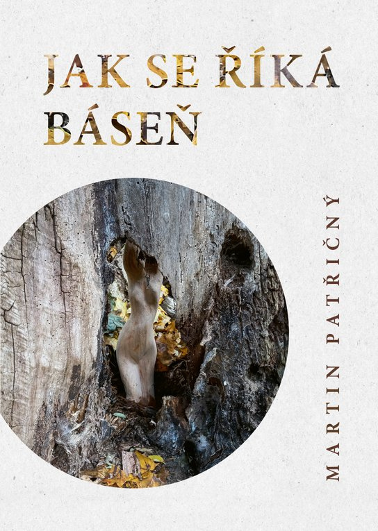Jak se říká báseň -  Martin Patřičný