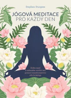 Jógová meditace pro každý den - Stephen Sturgess